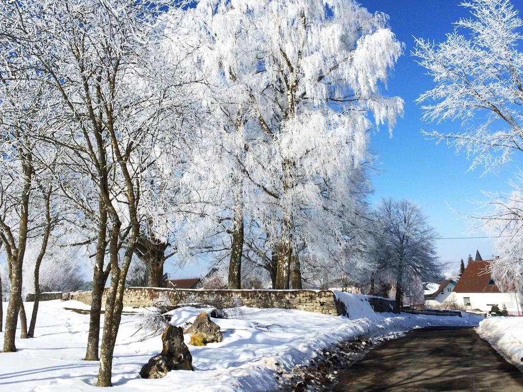 Ferienwohnung Ahorn Hohenstein  Екстер'єр фото